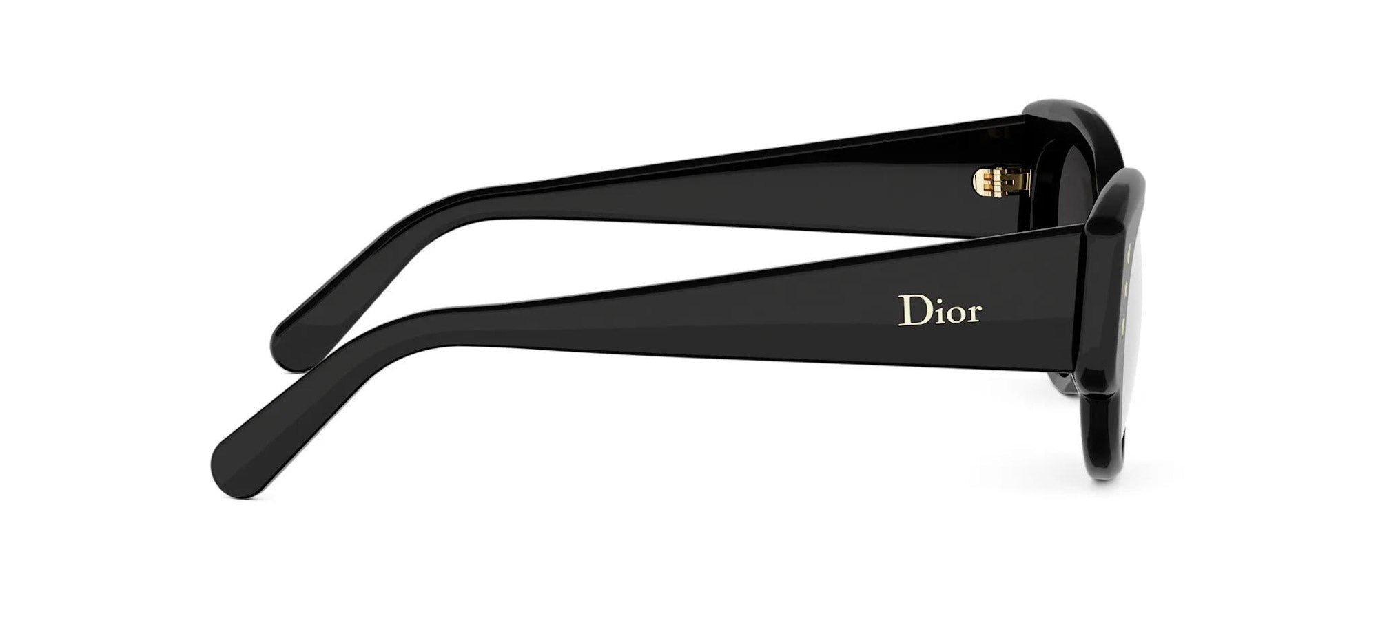 Dior Lucky Charms B1I