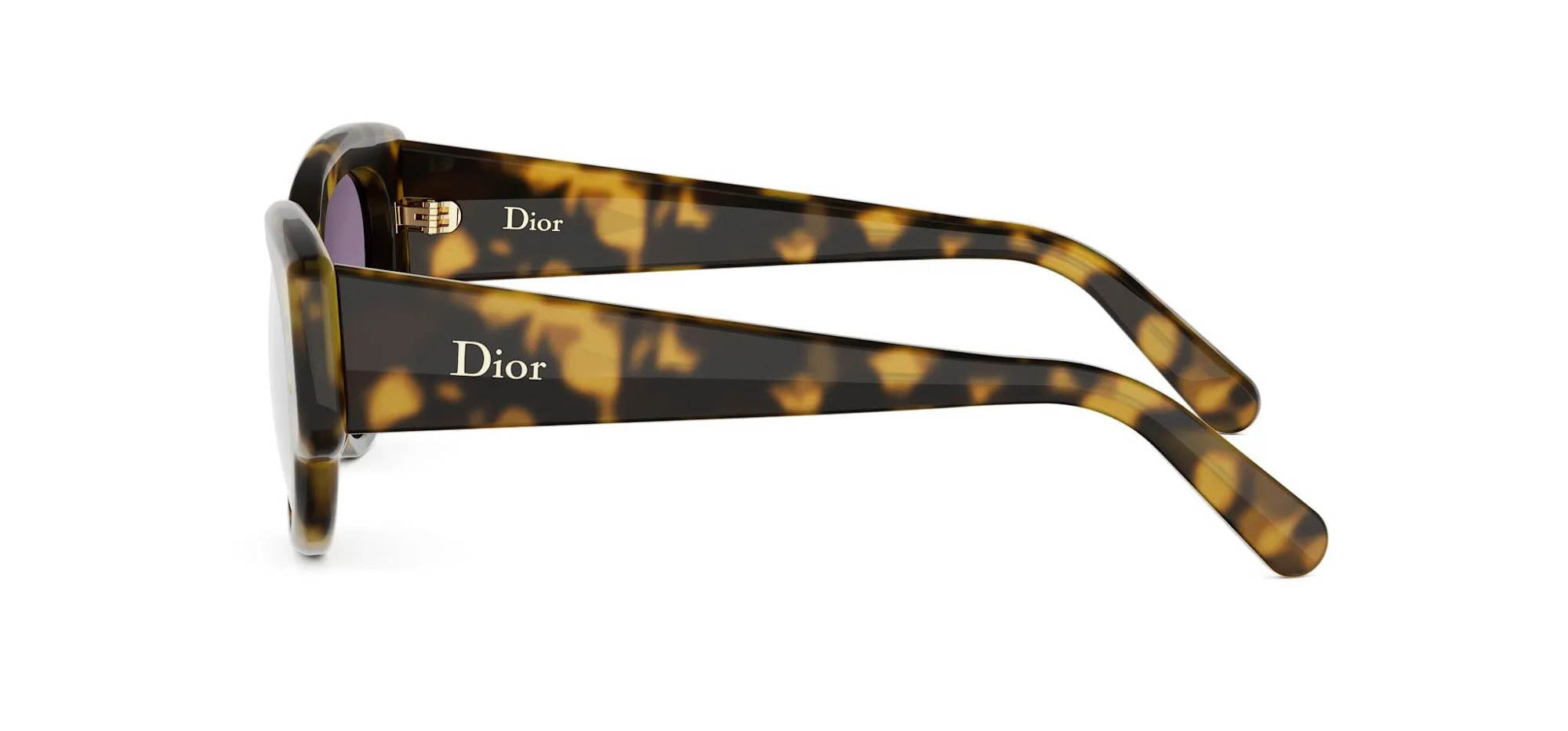 Dior Lucky Charms B1I