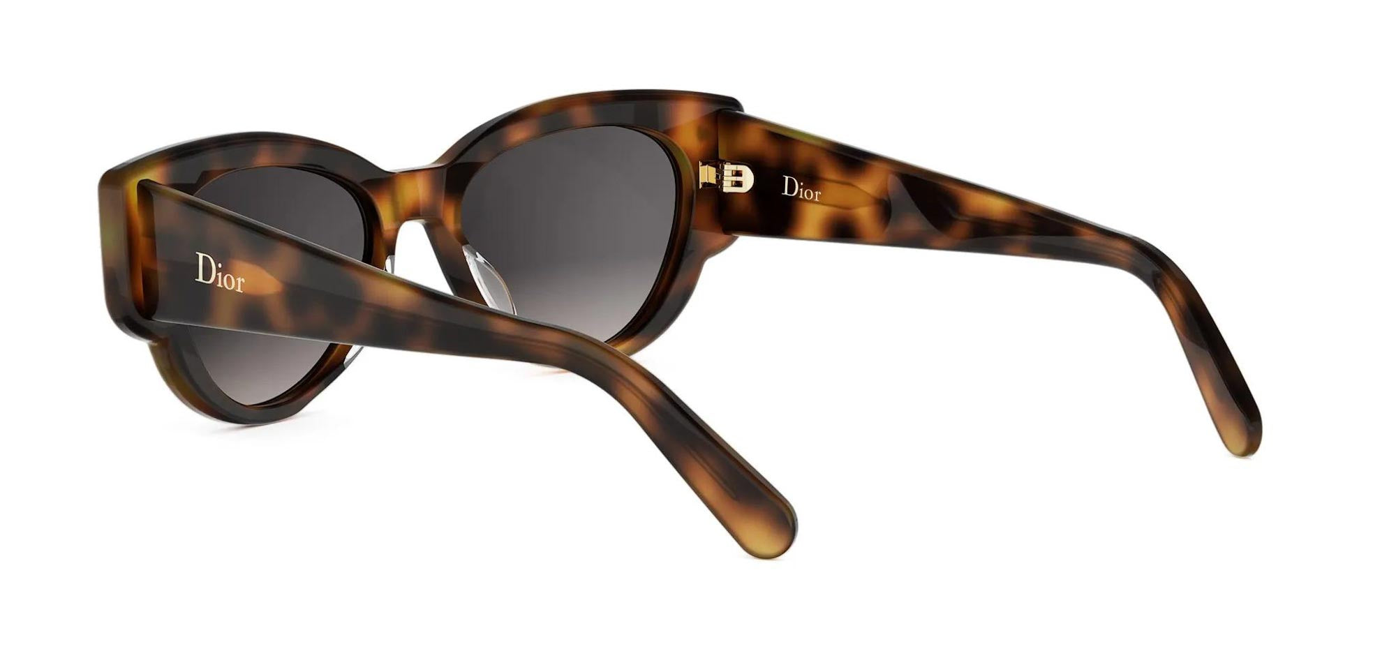 Dior Lucky Charms B1I