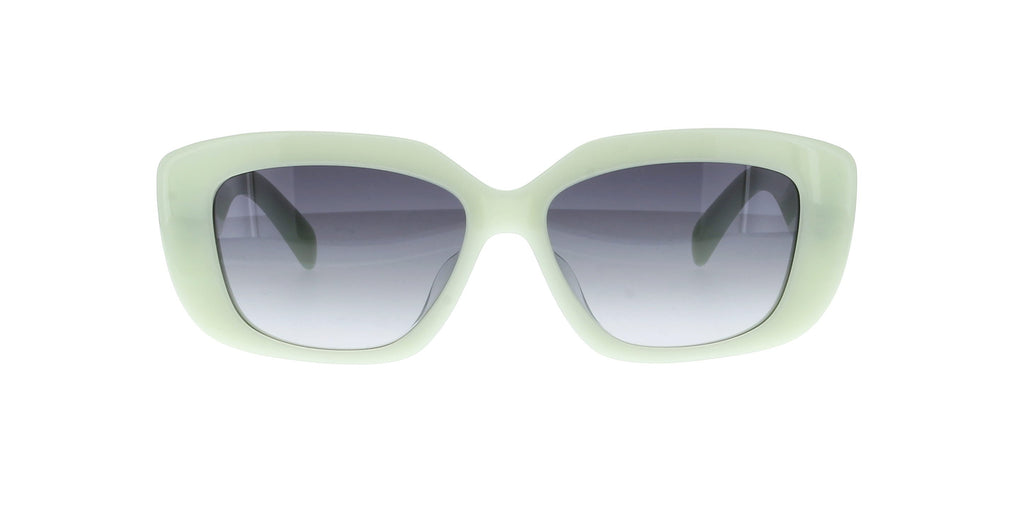 CELINE Triomphe CL40216U