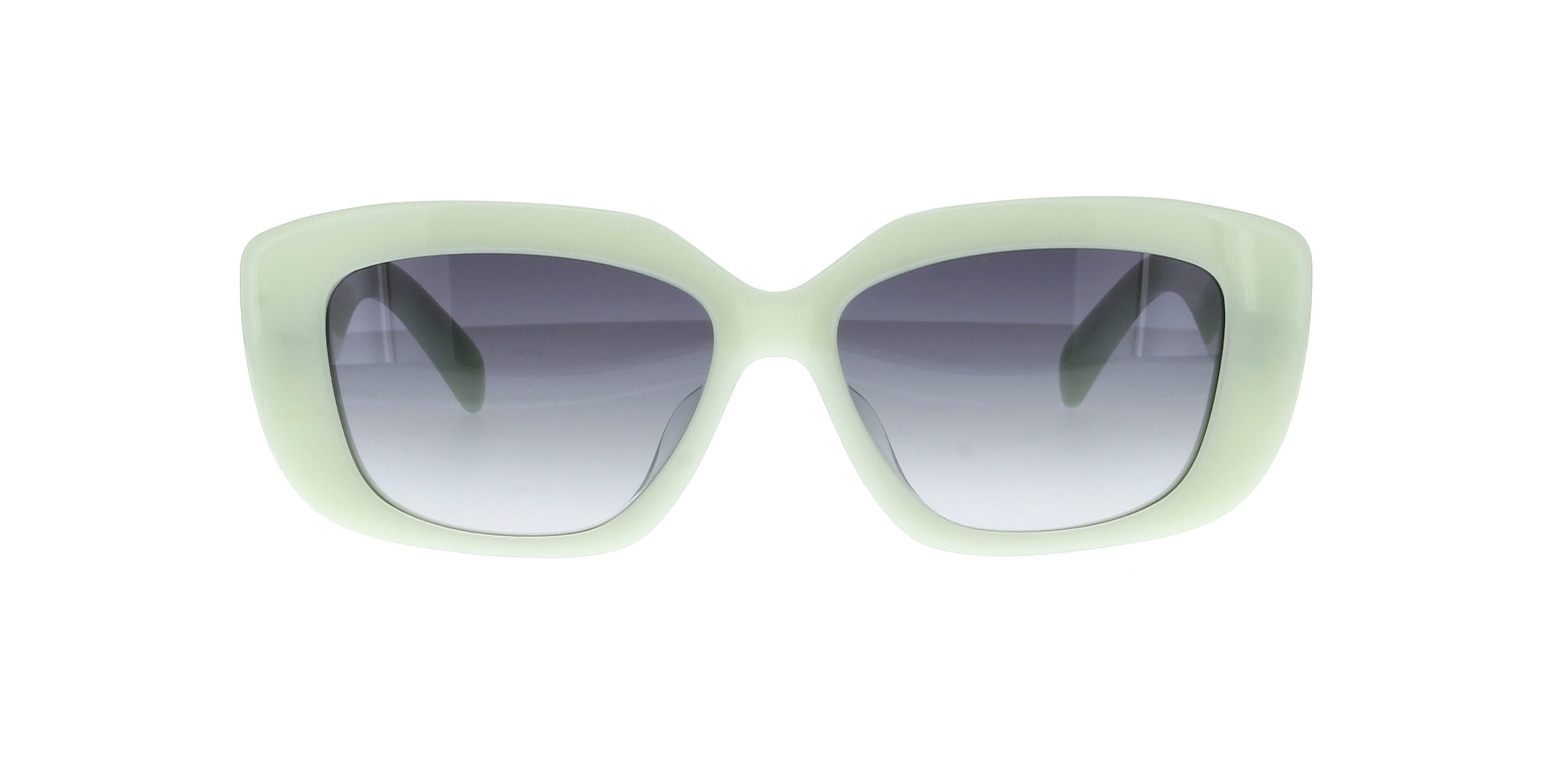 CELINE Triomphe CL40216U