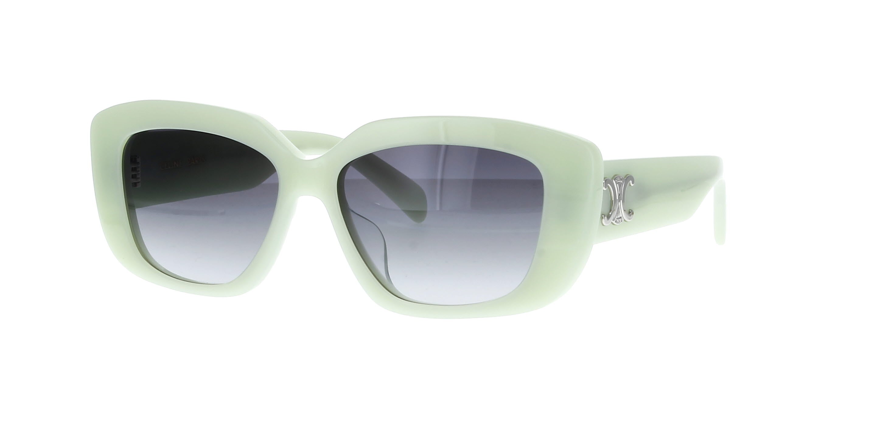 CELINE Triomphe CL40216U