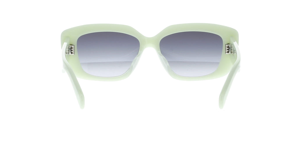 CELINE Triomphe CL40216U