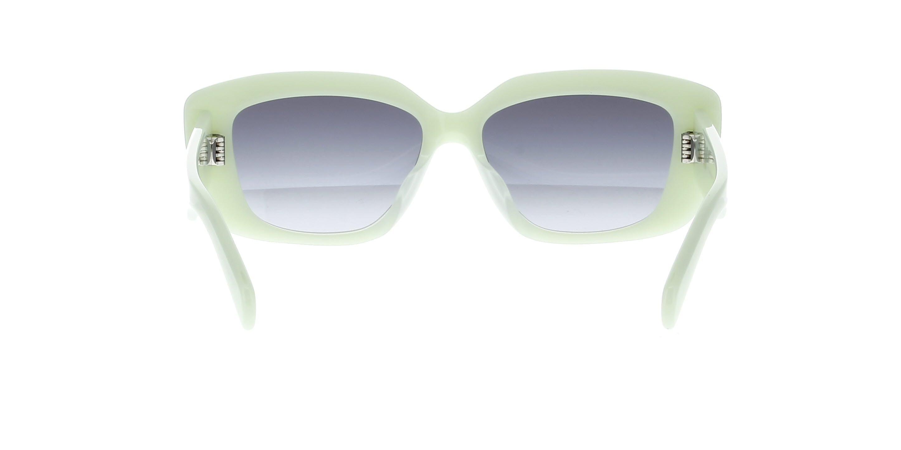 CELINE Triomphe CL40216U