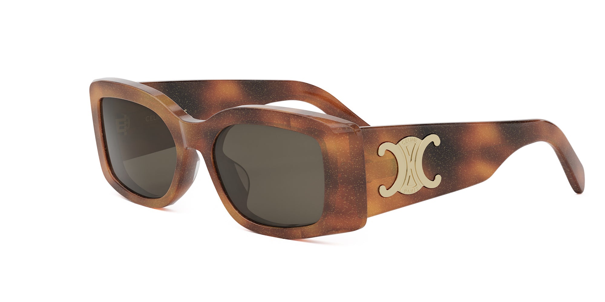 CELINE Triomphe CL40282U