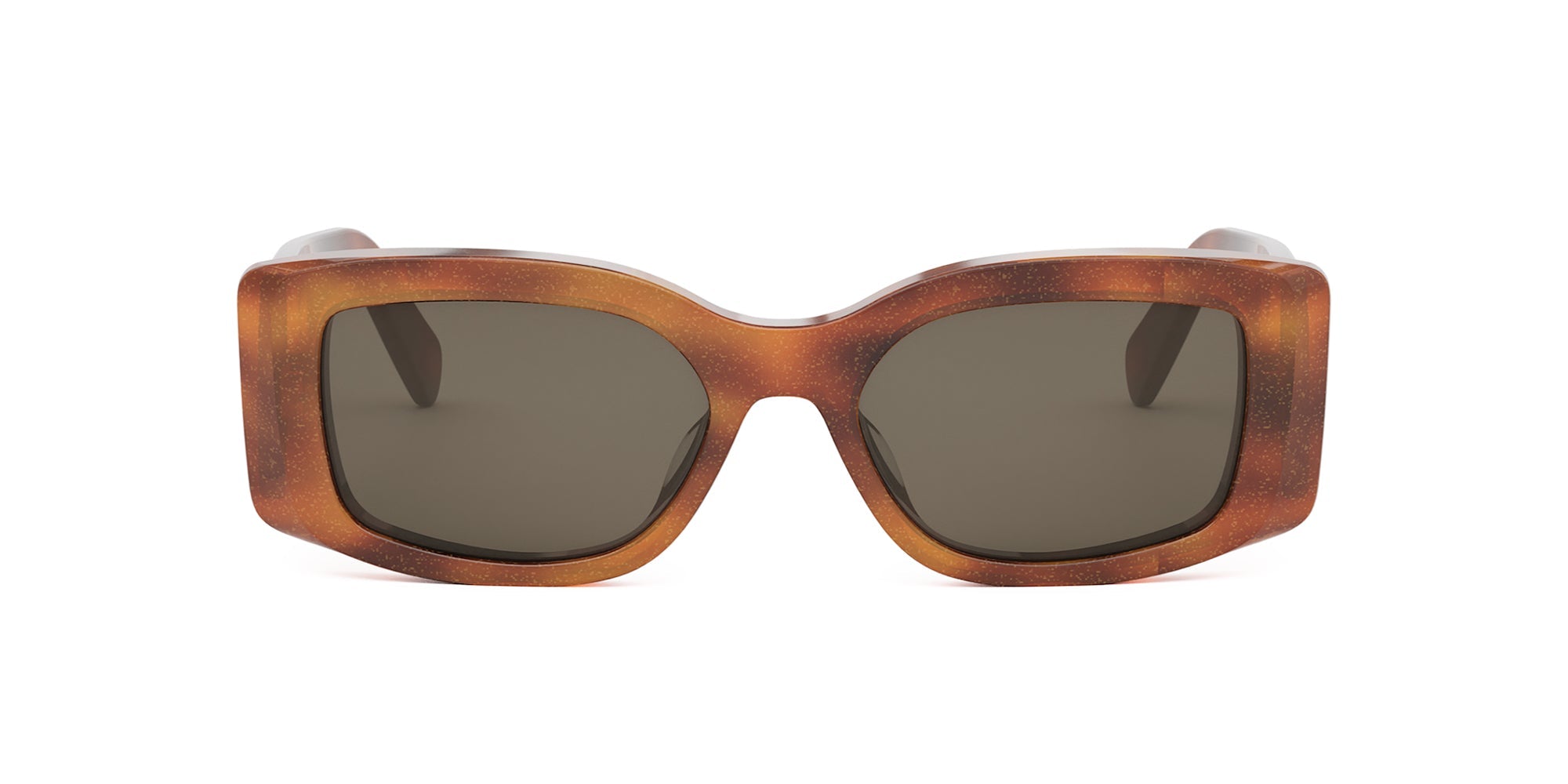 CELINE Triomphe CL40282U