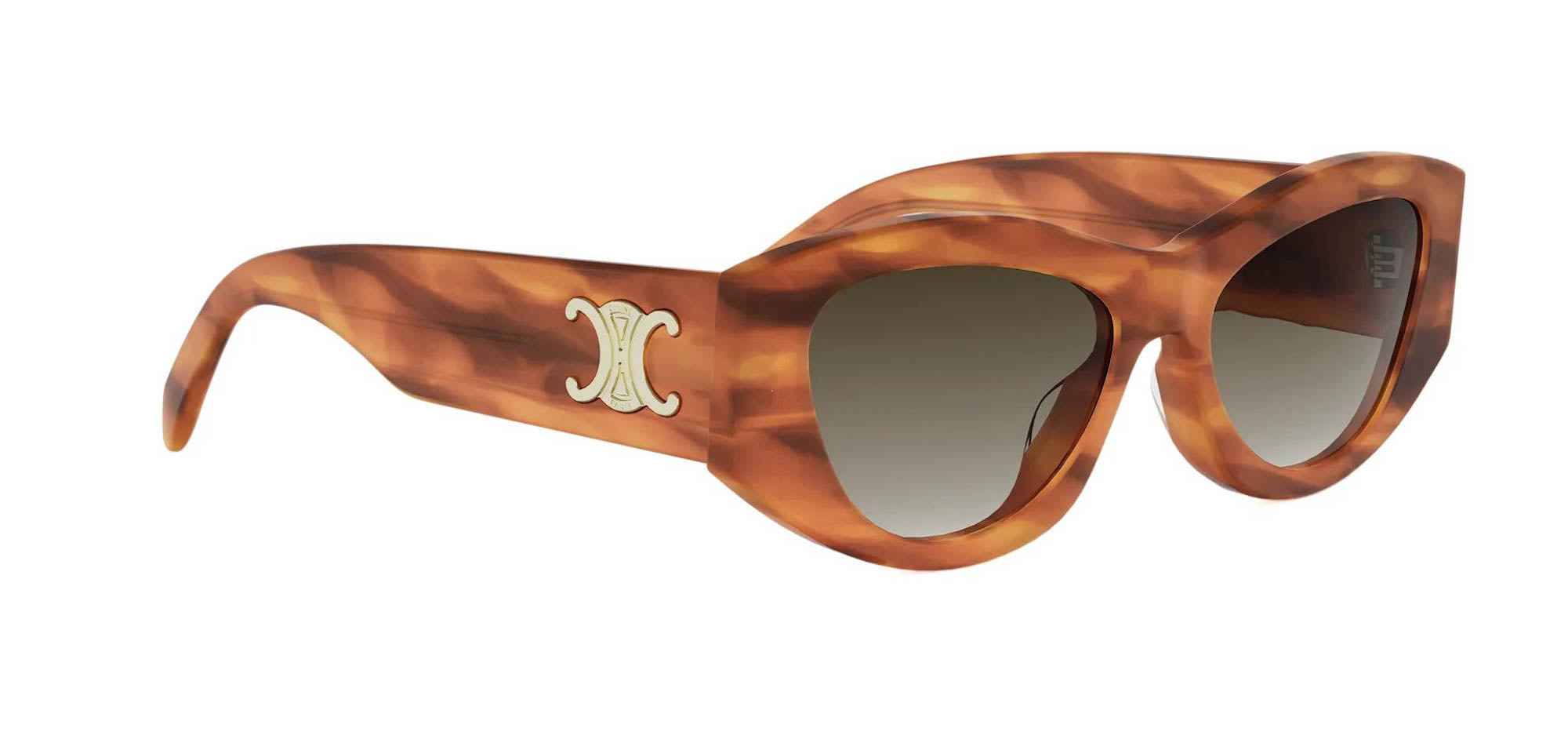 Celine Triomphe CL40308U