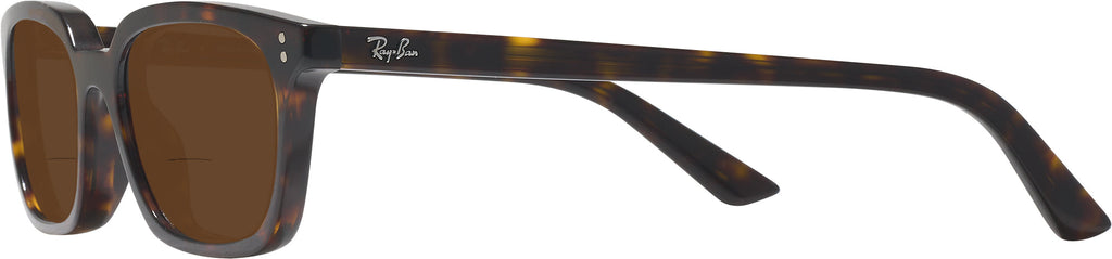 Ray-Ban 4456 Bifocal Reading Sunglasses