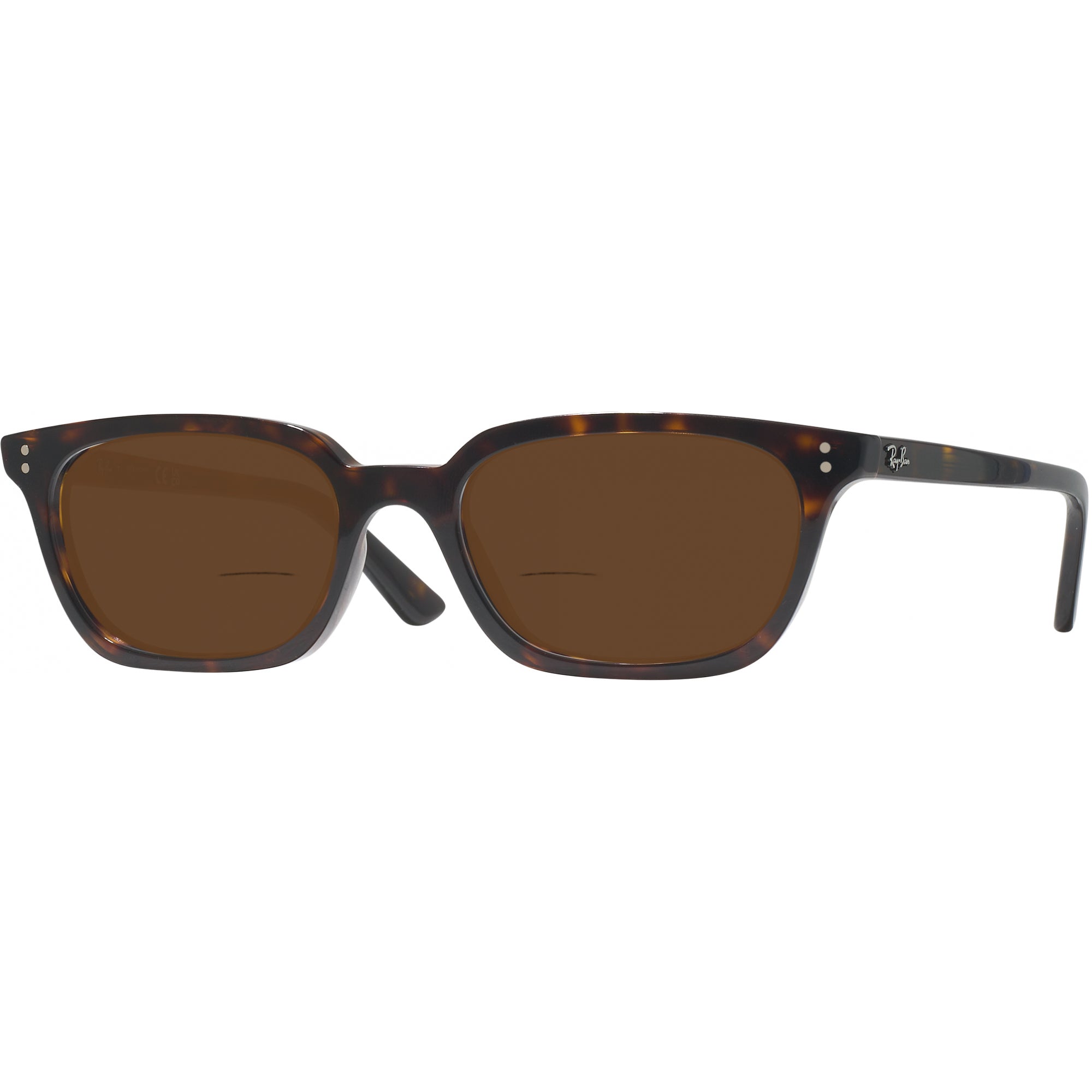 Ray-Ban 4456 Bifocal Reading Sunglasses